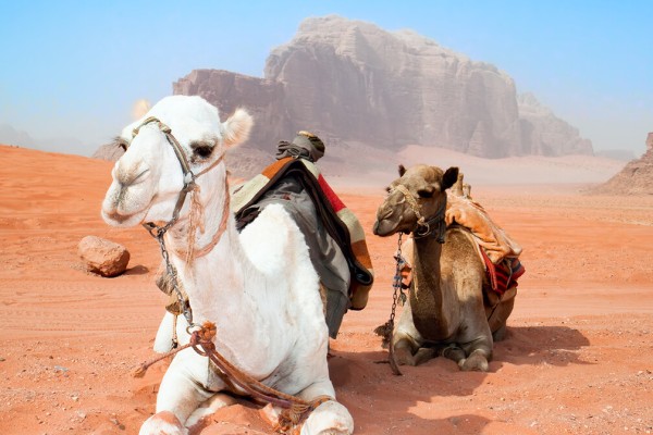 JORDAN, Biseri Jordana 7 dana avionom