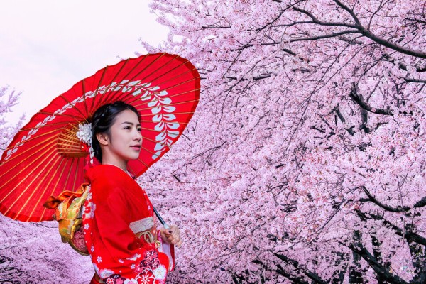 JAPAN - 12 dana avionom