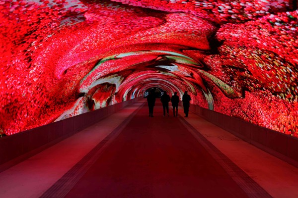 GORIZIA & UDINE DAG (Galleria bombi) - 1 dan autobusom