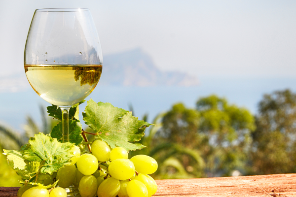 LJUBAV IMA OKUS FRULIJA - 1 dan autobusom