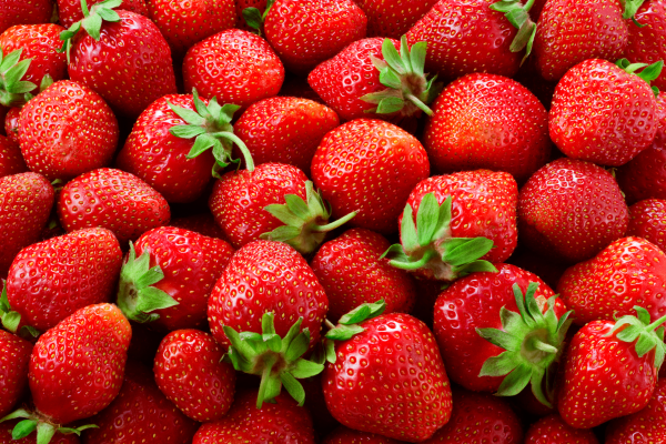 DANI JAGODA NA NERETVI - 2 dana autobusom